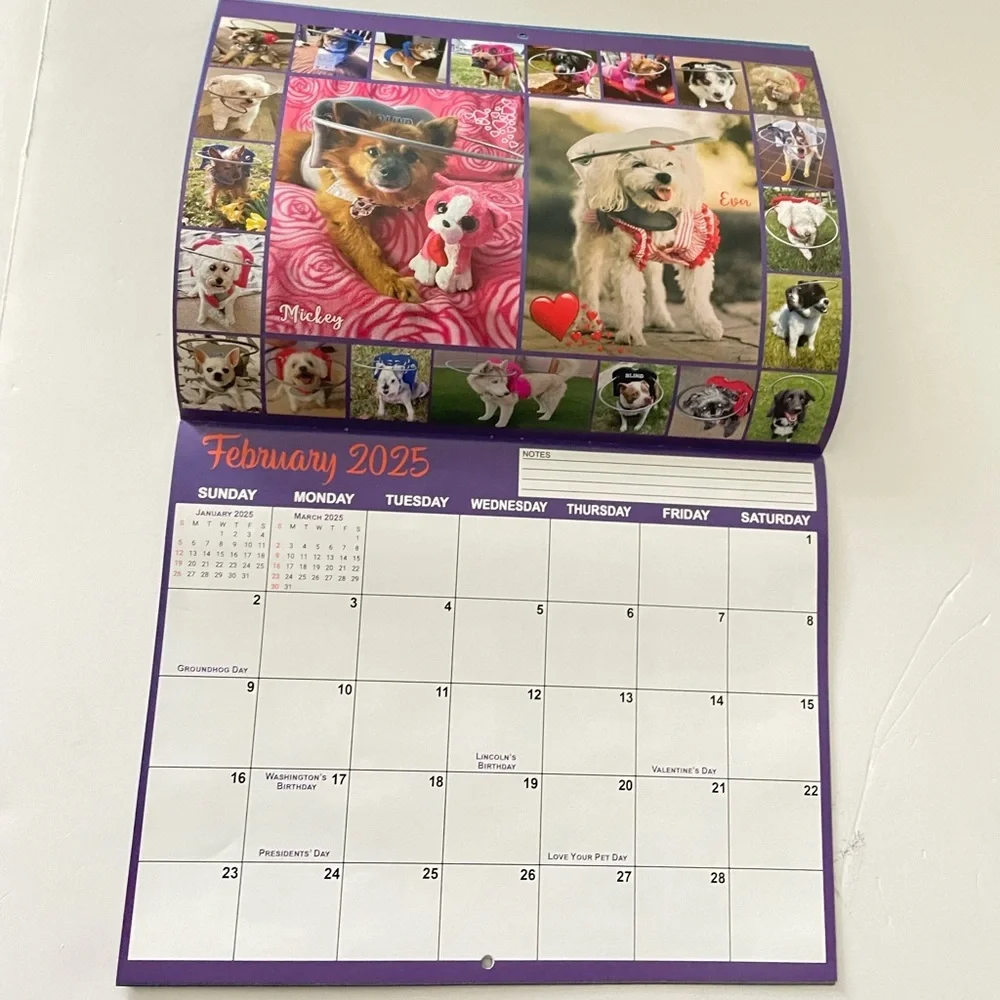Unique 2025 Blind Dogs Calendar